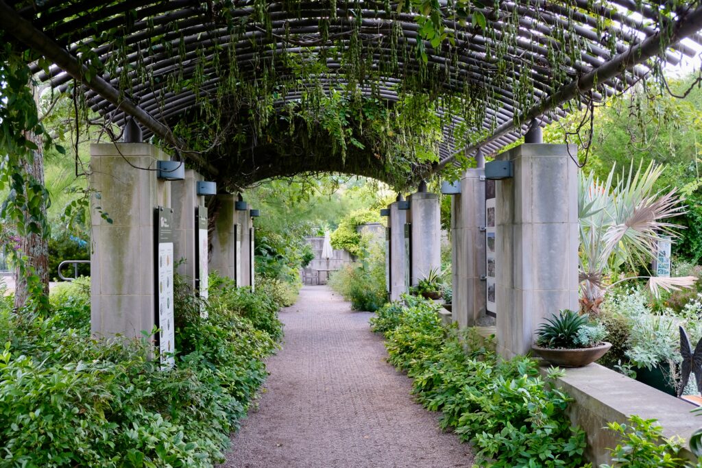 In daytime, an outdoor corridor between green glass. 