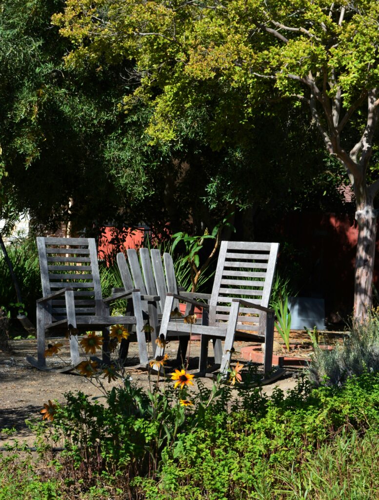 Two empty chairs in a sunny, green backyard. 